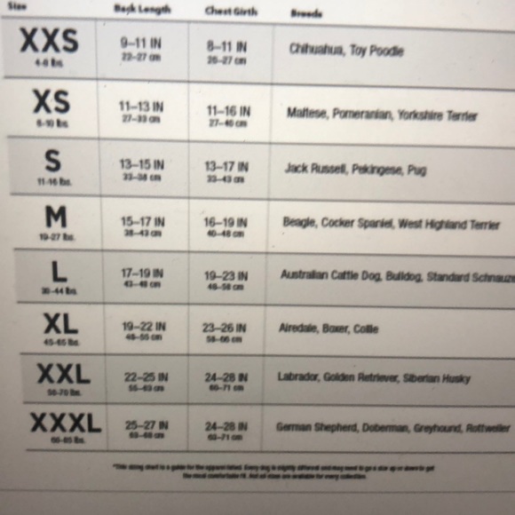 Pet clothes (pups T-shirt) Xlarge - Picture 3 of 4